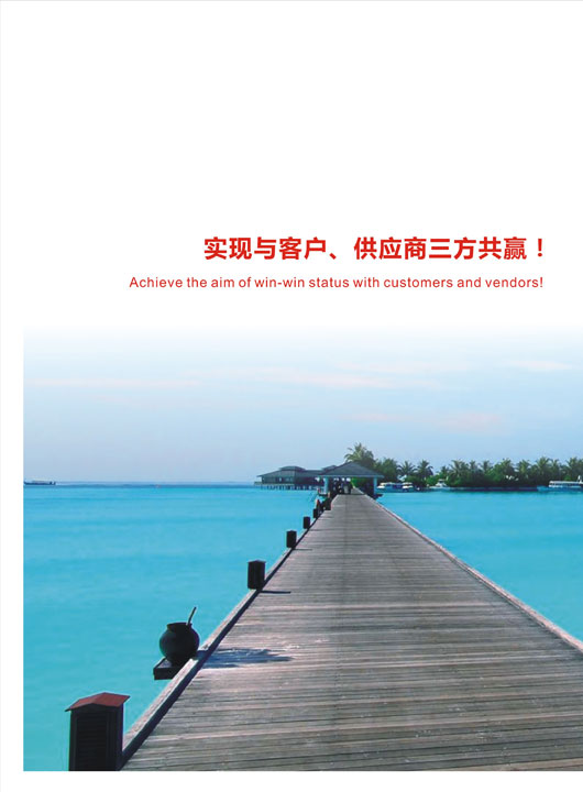 �Ƽ���˾��Ӯ�������